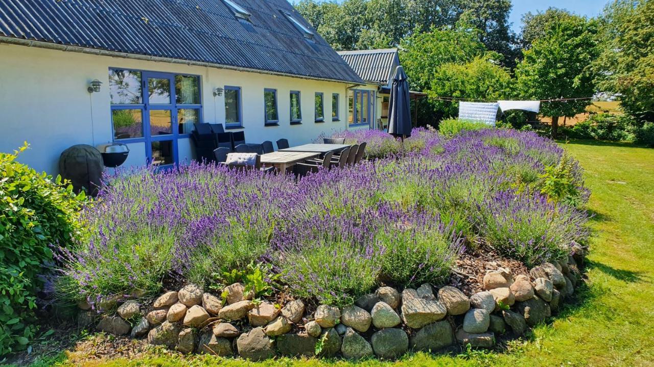 Villa Rolso Retreat Knebel Exterior foto